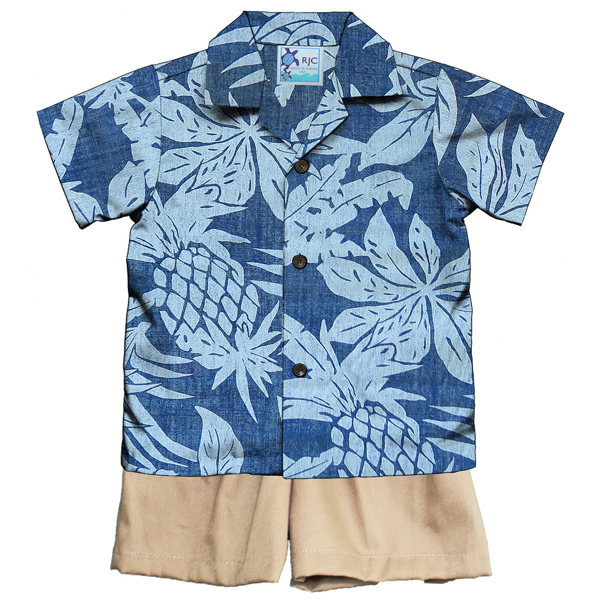 Hala Pineapple Boy's 2pc Set — Boys Cabana Sets — RJC (view 12)