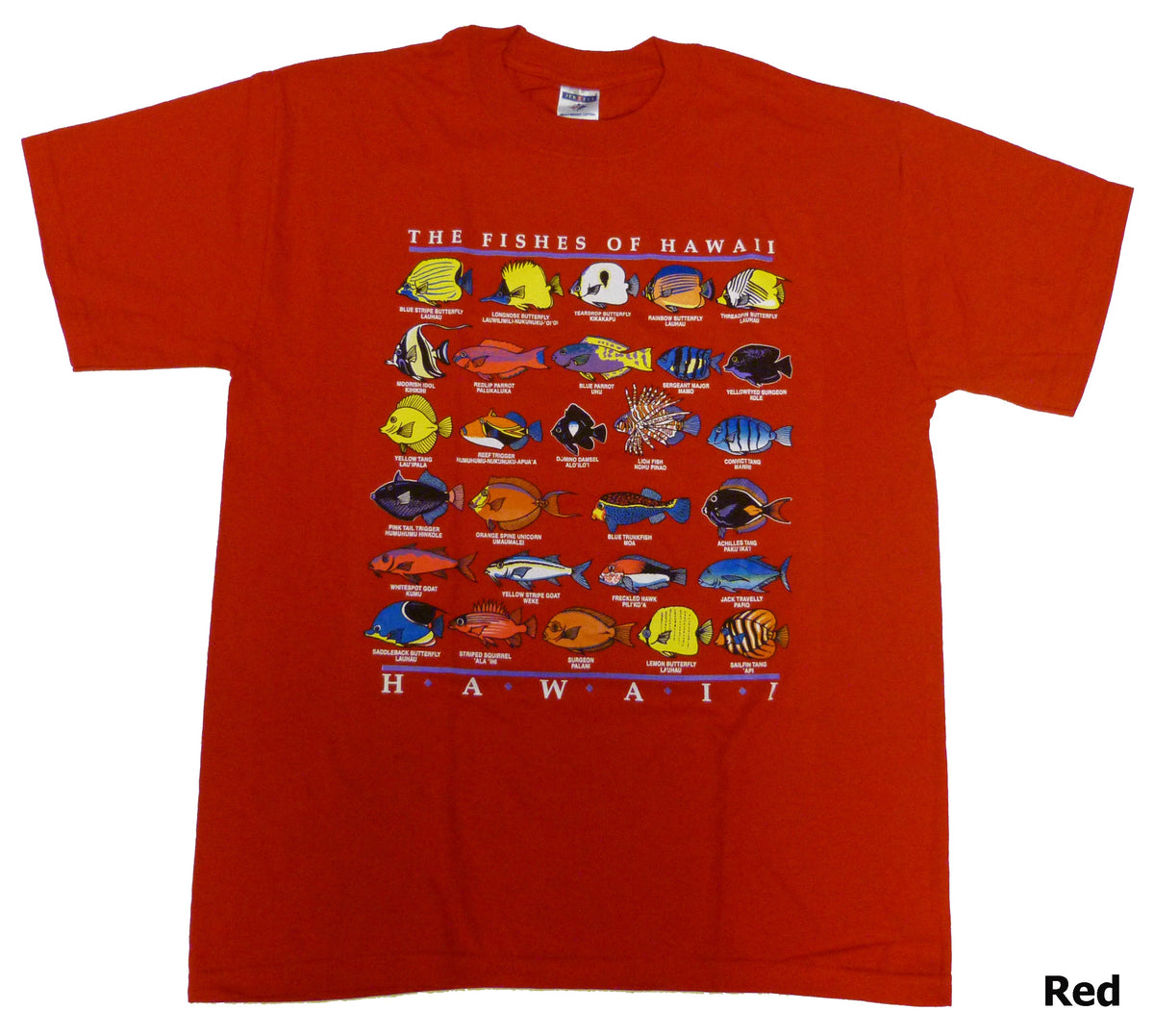 Fishes of Hawaiian Islands T-Shirt — T-Shirts — RJC (view 3)