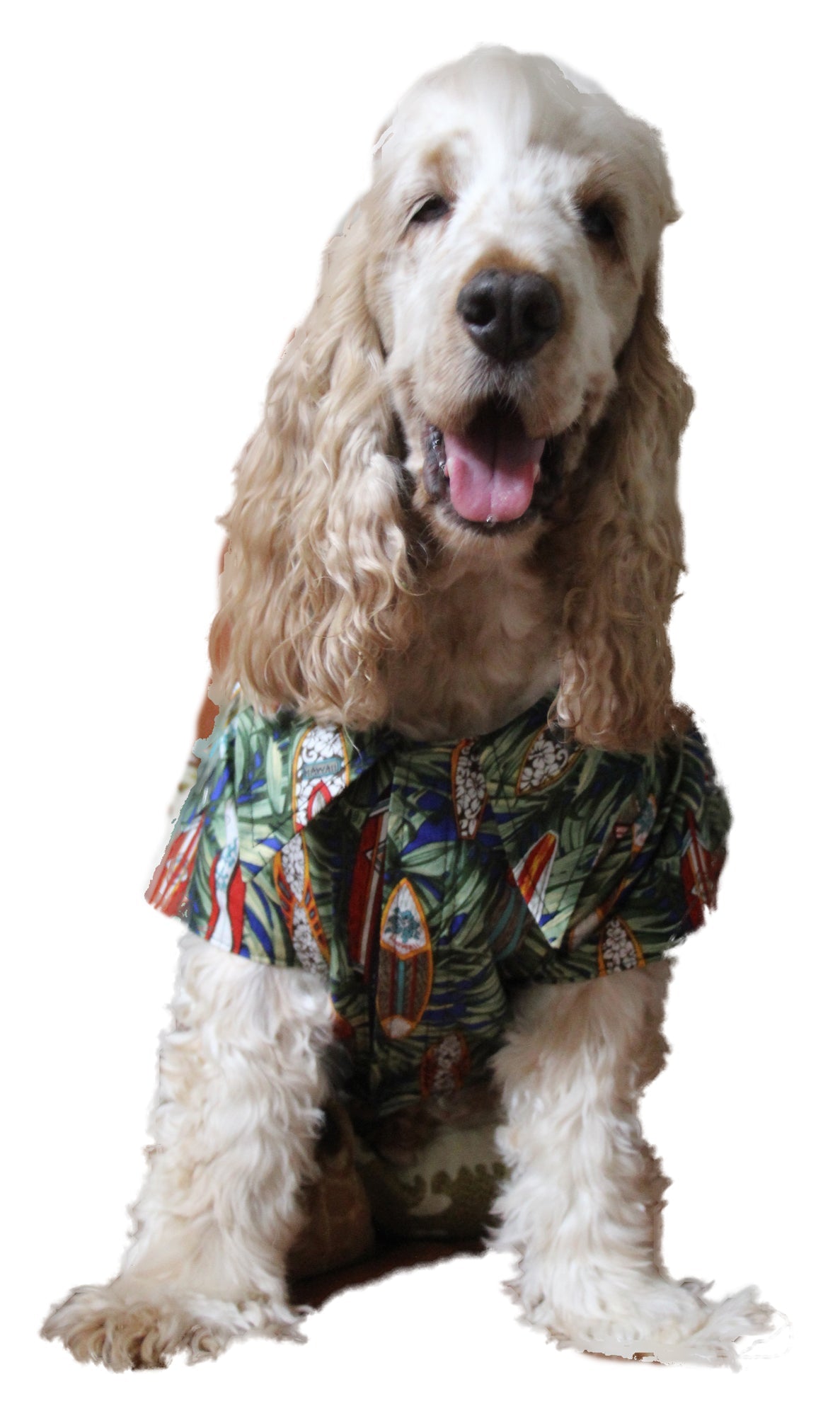Surfboards Design Collection Dog Shirt — Men's Cotton Shirts — RJC (view 3)