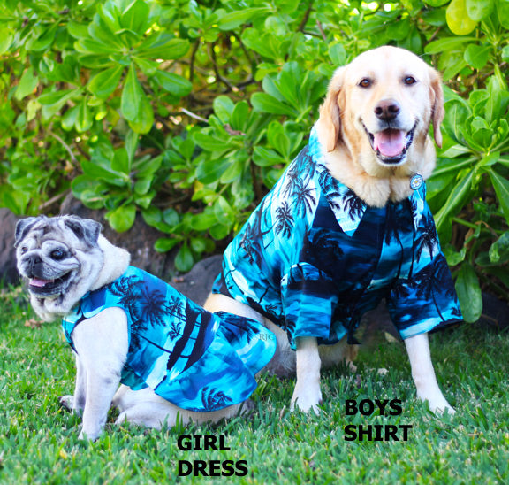 Night Time Surf Shirt for Dogs