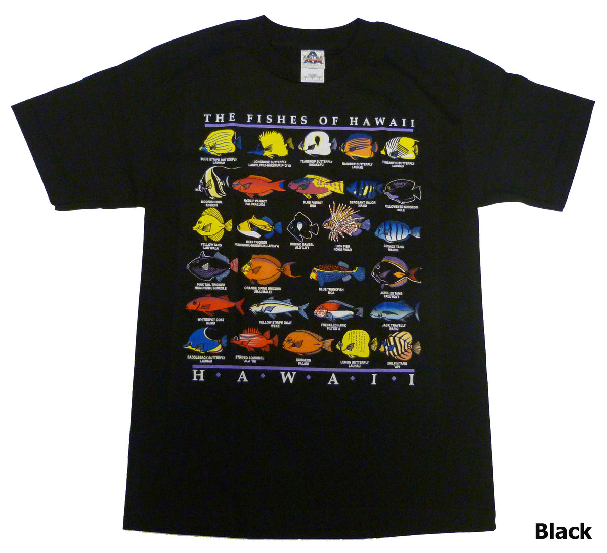 Fishes of Hawaiian Islands T-Shirt — T-Shirts — RJC (view 4)