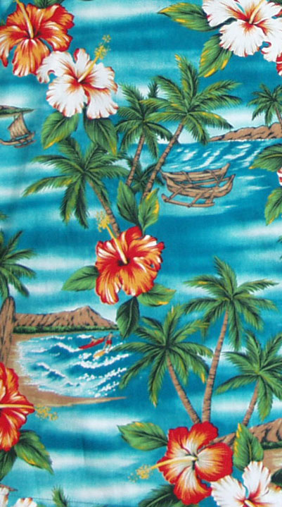 Hibiscus Outrigger Island Men's Cargo Shorts