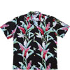 CLOSEOUT Red Ginger men's panel